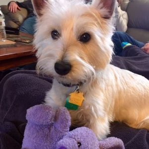 Meet your Posher, Lorinda